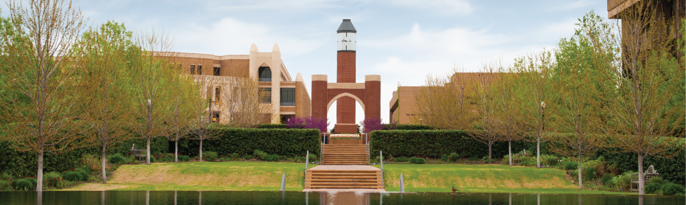 Arch and Clock Tower - HSC Campus